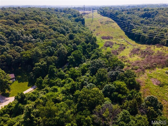 0 Glick Rd, High Ridge, MO 63049 - photo 19