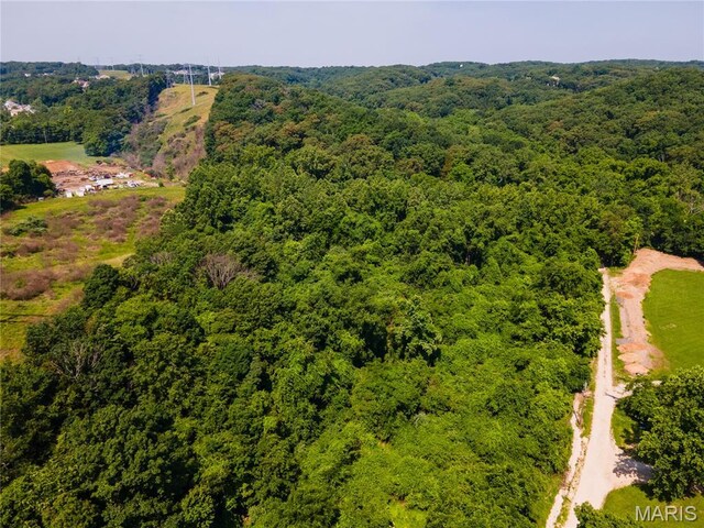 0 Glick Rd, High Ridge, MO 63049 - photo 23