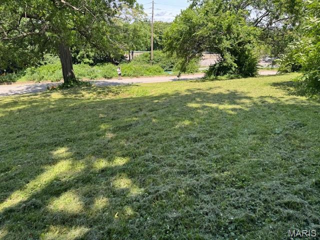 7082 Oleatha, Saint Louis, MO 63110