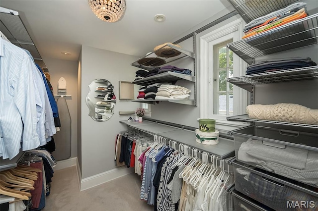 444 Algonquin Pl, Webster Groves, MO 63119 - walk in closet featuring carpet
