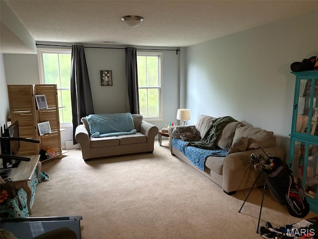 3205 Domain St Unit 1 & 2, Saint Charles, MO 63301 - photo 2