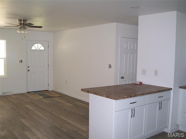 243 Jones St, Sullivan, MO 63080 - entrance foyer with a ceiling fan, dark wood finished floors, and plenty of natural light