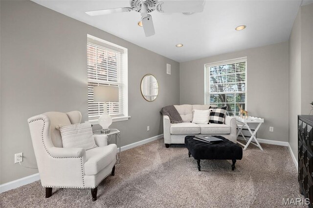 7810 Lafon Pl, University City, MO 63130 - photo 10