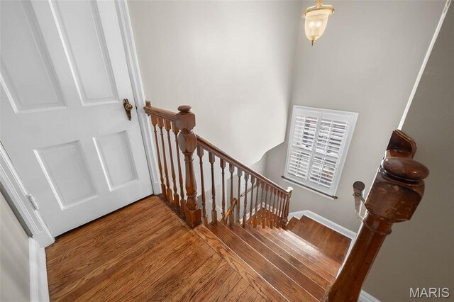 7810 Lafon Pl, University City, MO 63130 - photo 16