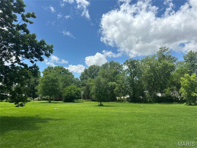 165 S Park St, Hoyleton, IL 62803 - photo 3