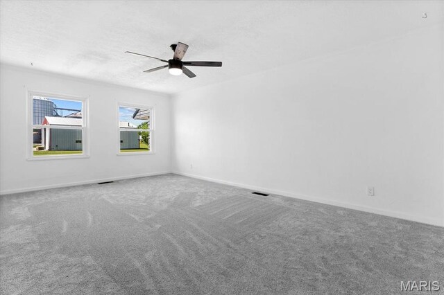 165 S Park St, Hoyleton, IL 62803 - photo 21