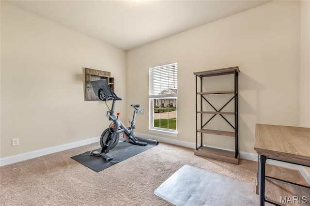 222 Austin Oaks Dr, Moscow Mills, MO 63362 - workout room featuring carpet and baseboards