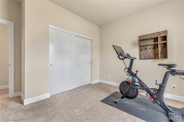 222 Austin Oaks Dr, Moscow Mills, MO 63362 - exercise room with carpet flooring