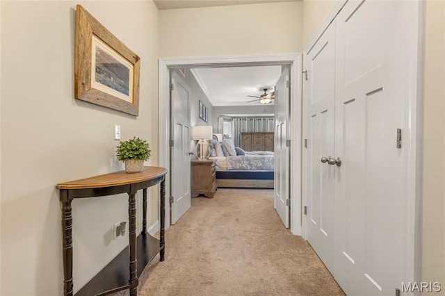 222 Austin Oaks Dr, Moscow Mills, MO 63362 - corridor with carpet and crown molding