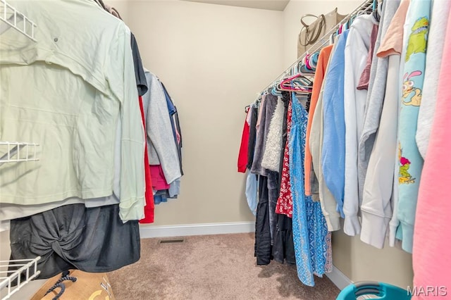 222 Austin Oaks Dr, Moscow Mills, MO 63362 - spacious closet with carpet flooring