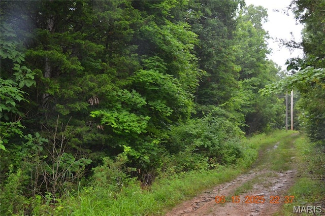 0 Old Cadet Rd, Bonne Terre, MO 63628