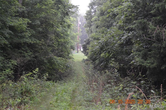 0 Old Cadet Rd, Bonne Terre, MO 63628