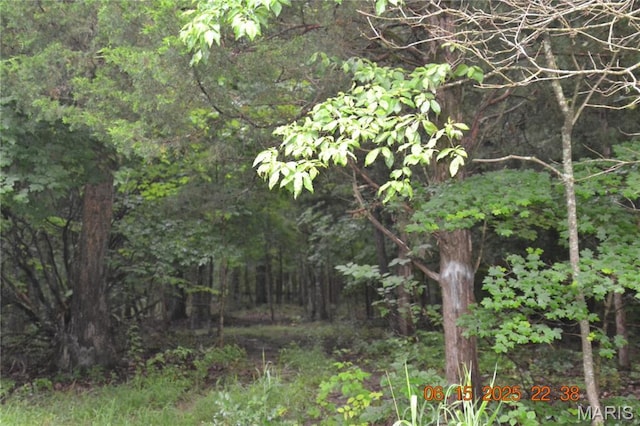0 Old Cadet Rd, Bonne Terre, MO 63628