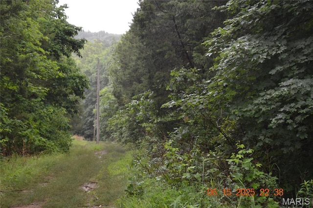 0 Old Cadet Rd, Bonne Terre, MO 63628