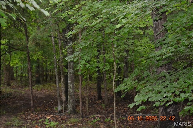 0 Old Cadet Rd, Bonne Terre, MO 63628