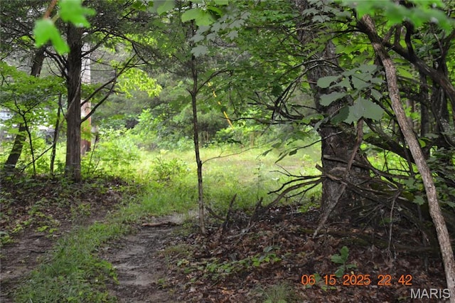 0 Old Cadet Rd, Bonne Terre, MO 63628