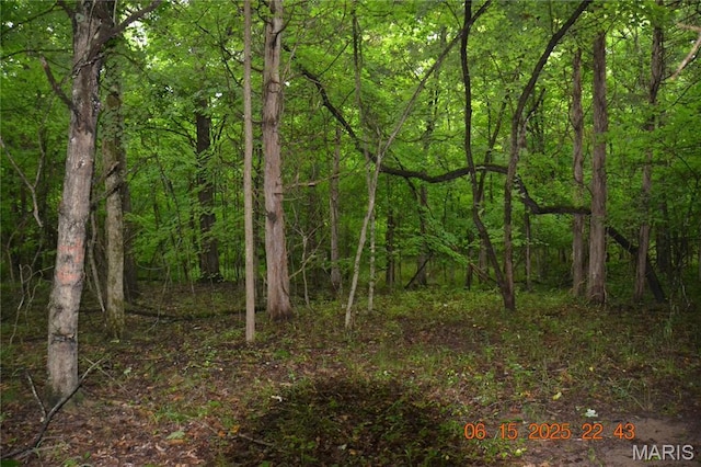 0 Old Cadet Rd, Bonne Terre, MO 63628