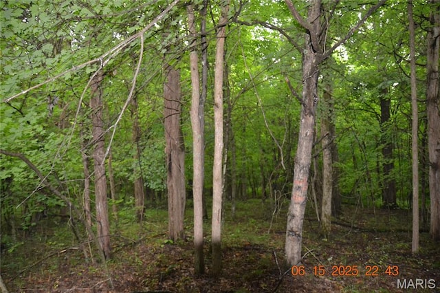 0 Old Cadet Rd, Bonne Terre, MO 63628