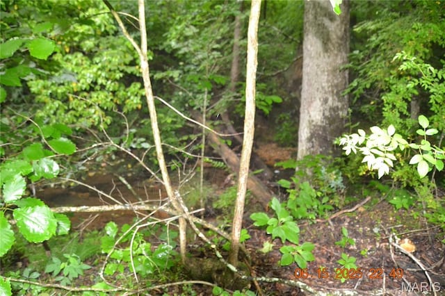 0 Old Cadet Rd, Bonne Terre, MO 63628