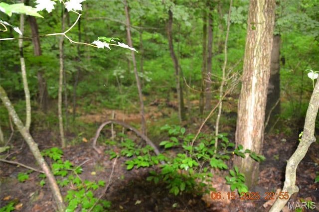0 Old Cadet Rd, Bonne Terre, MO 63628