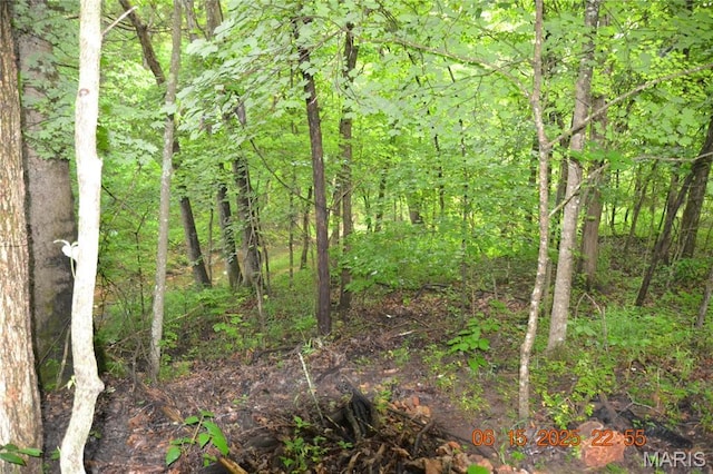 0 Old Cadet Rd, Bonne Terre, MO 63628
