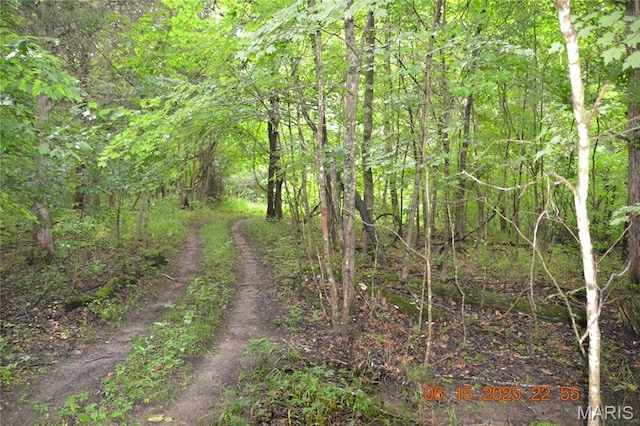 0 Old Cadet Rd, Bonne Terre, MO 63628