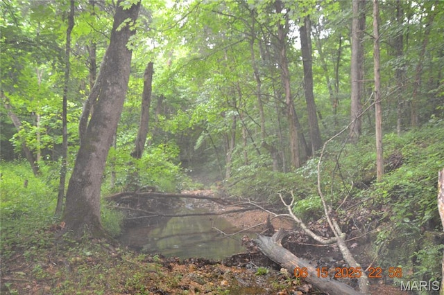 0 Old Cadet Rd, Bonne Terre, MO 63628