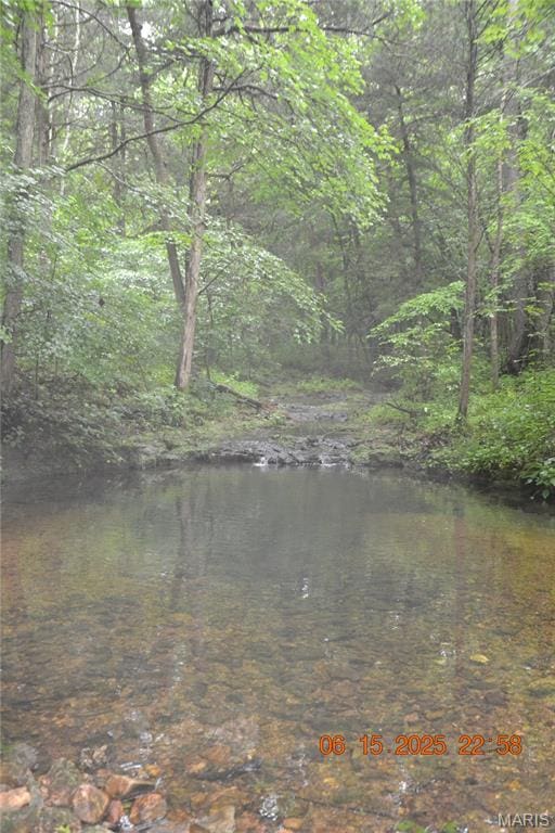 0 Old Cadet Rd, Bonne Terre, MO 63628
