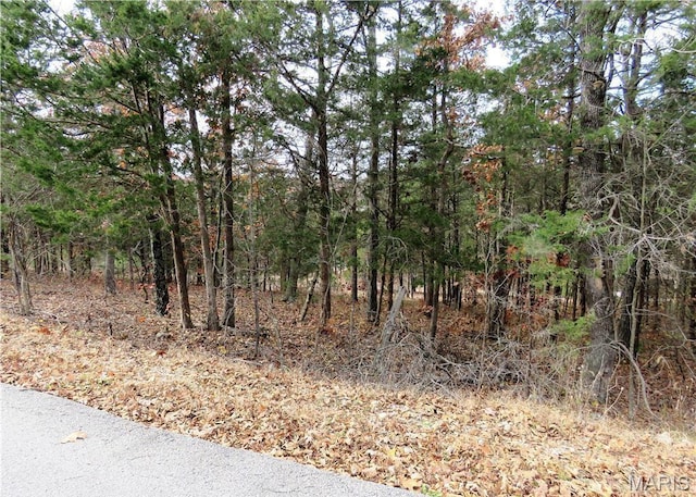 10515 Eagles Nest Dr, Hillsboro, MO 63050