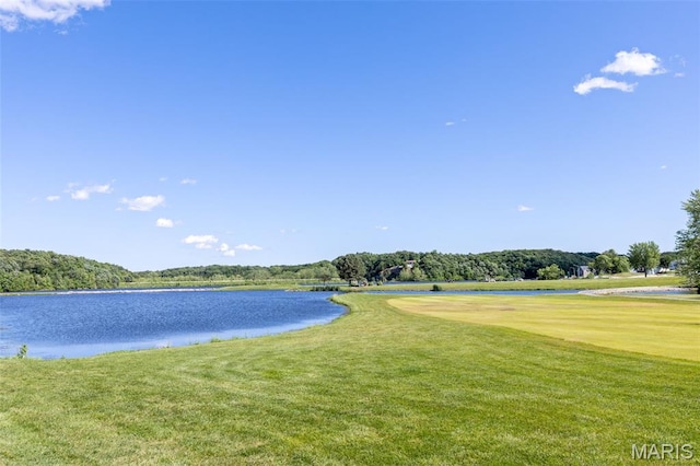 10523 Village Ln, Foristell, MO 63348 - water view