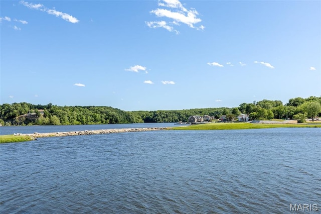 10523 Village Ln, Foristell, MO 63348 - water view featuring a heavily wooded area