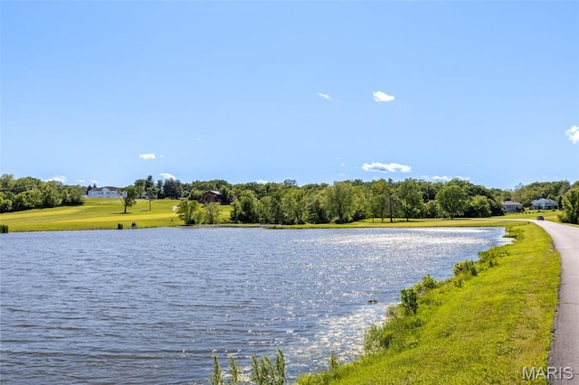 10523 Village Ln, Foristell, MO 63348 - water view