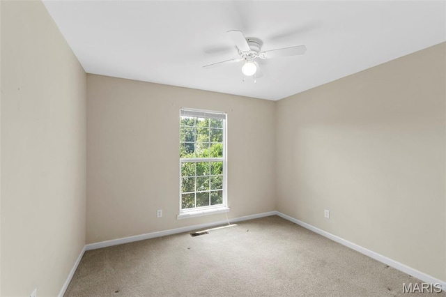 3510 Big Bear Ct, Wentzville, MO 63385 - photo 26