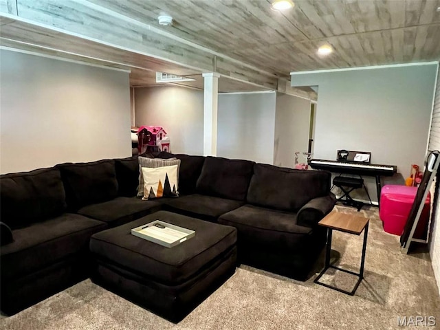 320 N Dickerson St, Palmyra, MO 63461 - living area featuring carpet flooring