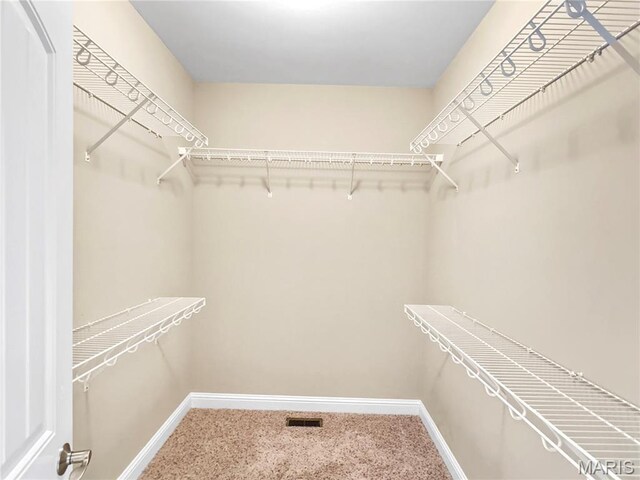 151 Rainbow Lake Dr, Villa Ridge, MO 63089 - photo 28
