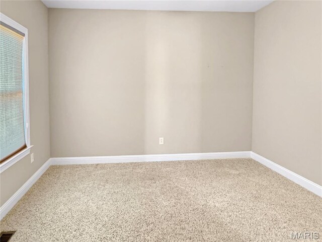 151 Rainbow Lake Dr, Villa Ridge, MO 63089 - photo 42