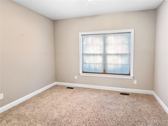 151 Rainbow Lake Dr, Villa Ridge, MO 63089 - photo 51