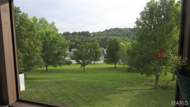 142 Winter Lake Blvd, Fenton, MO 63026 - photo 12