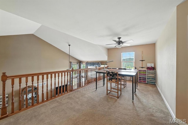 142 Winter Lake Blvd, Fenton, MO 63026 - photo 21