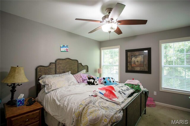 232 Greenbrier Cpe, Girardeau, MO 63701 - photo 17