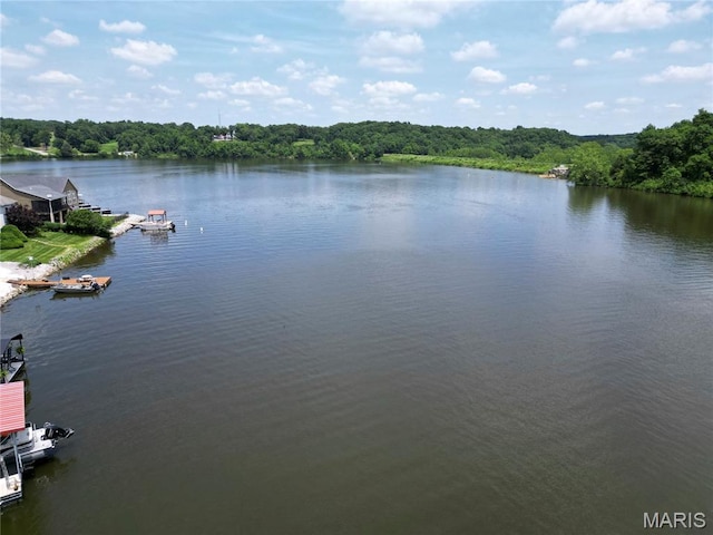 10234 Village Dr, Foristell, MO 63348 - water view featuring a heavily wooded area and a boat dock