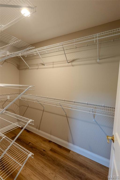 11782 Pine Forest Dr, Rolla, MO 65401 - spacious closet with wood finished floors