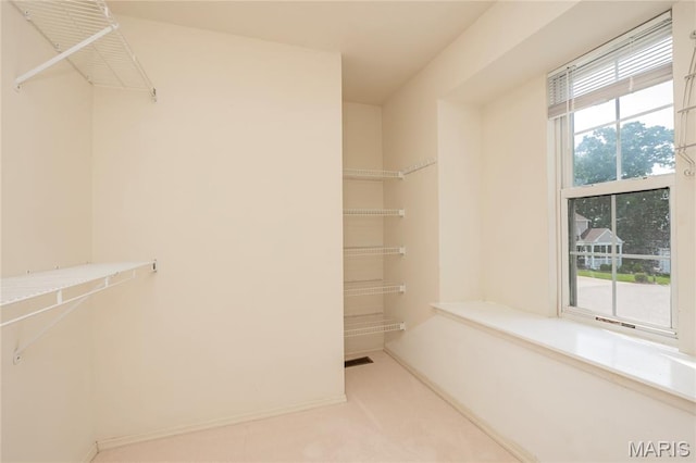 742 Arbor Ridge Ct, Ballwin, MO 63021 - spacious closet with carpet