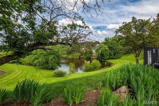 742 Arbor Ridge Ct, Ballwin, MO 63021 - view of property's community with a water view and a yard
