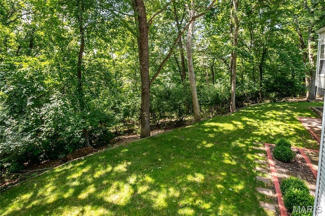 742 Arbor Ridge Ct, Ballwin, MO 63021 - view of green lawn