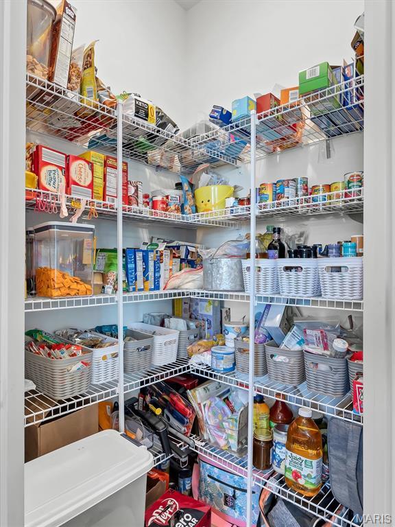 1673 Lake Meade Dr, Pacific, MO 63069 - view of storage area