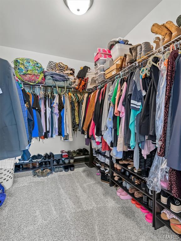 1673 Lake Meade Dr, Pacific, MO 63069 - walk in closet featuring carpet flooring