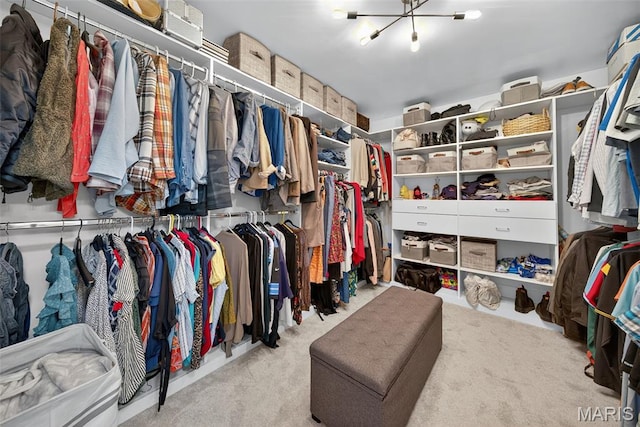 10 Renaud Pass, Ofallon, MO 63366 - walk in closet featuring a chandelier and carpet flooring