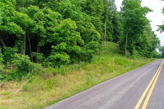 21202 State Highway Mm, Glen Allen, MO 63751 - photo 9