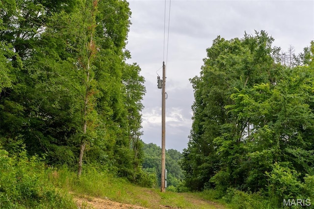 21202 State Highway Mm, Glen Allen, MO 63751 - photo 10